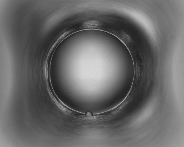 X0000116631054200912111213