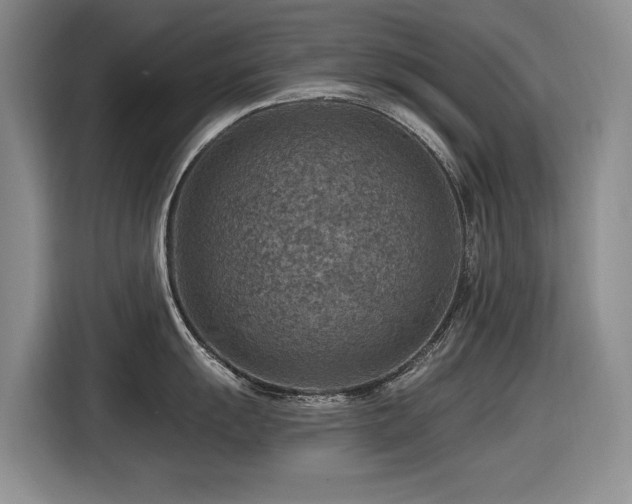 X0000116631055200912111213