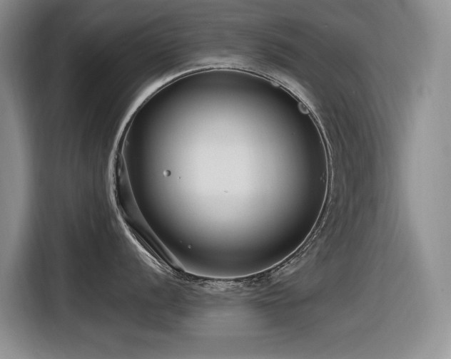 X0000116631056200912111213