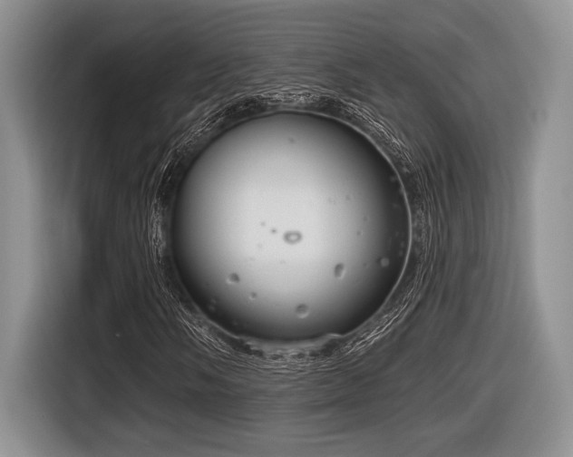 X0000116631058200912111212