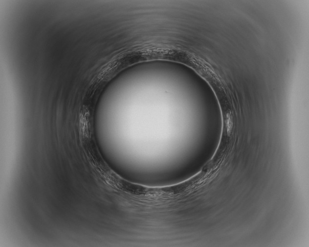 X0000116631059200912111212