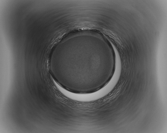 X0000116631060200912111212