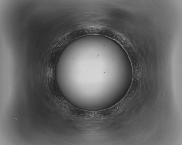 X0000116631061200912111212