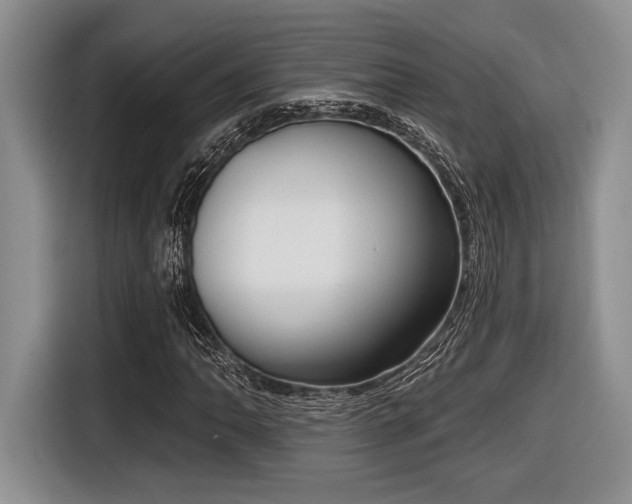 X0000116631062200912111212