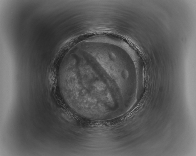 X0000116631063200912111212