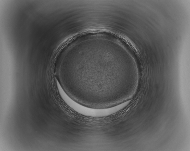 X0000116631064200912111212