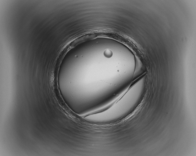 X0000116631065200912111212