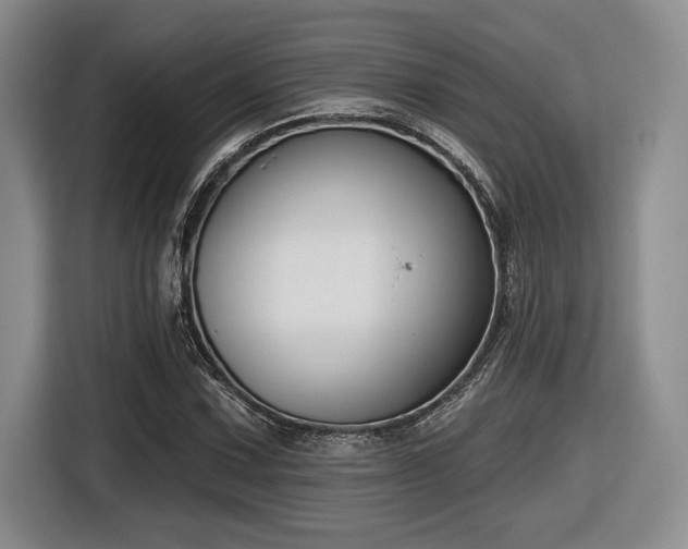 X0000116631067200912111212