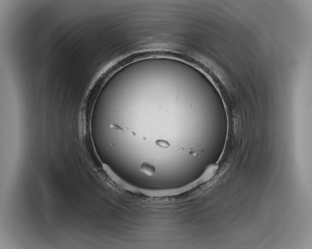 X0000116631069200912111212