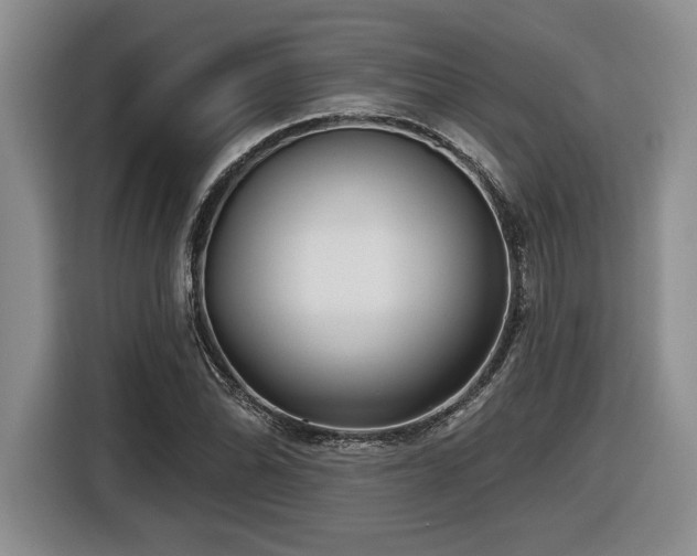 X0000116631070200912111212