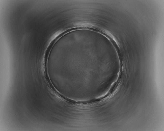 X0000116631071200912111212