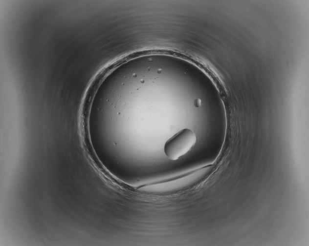 X0000116631072200912111212