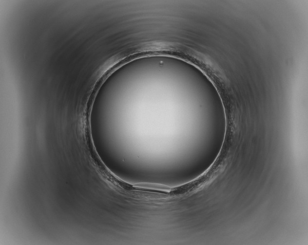 X0000116631073200912111212