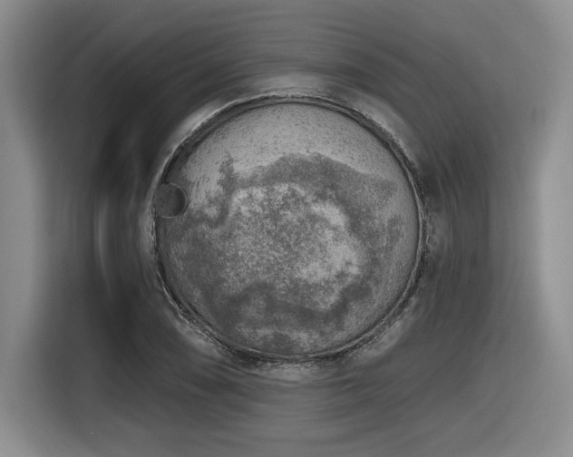 X0000116631074200912111212