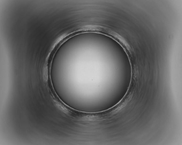 X0000116631075200912111212