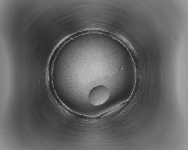 X0000116631076200912111212