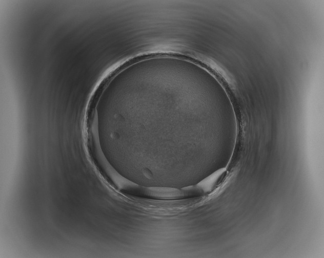 X0000116631077200912111212