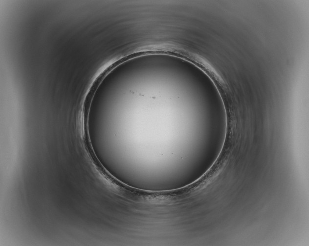 X0000116631079200912111212