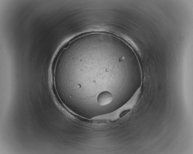 X0000116631080200912111212