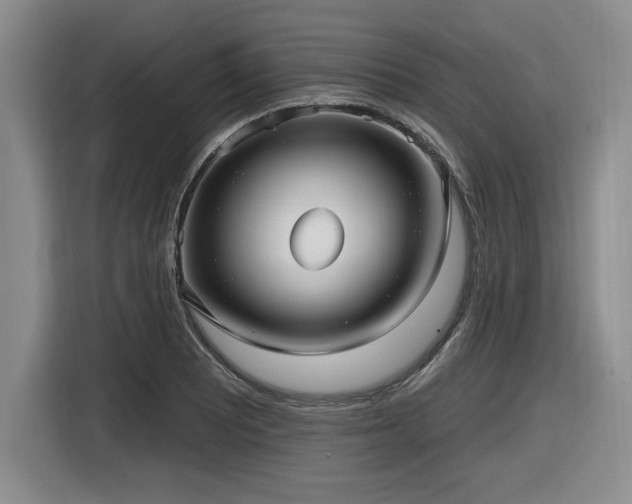 X0000116631081200912111212