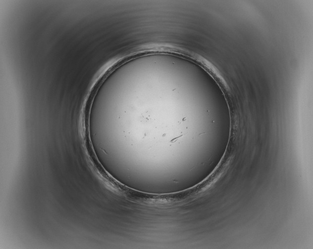 X0000116631082200912111212