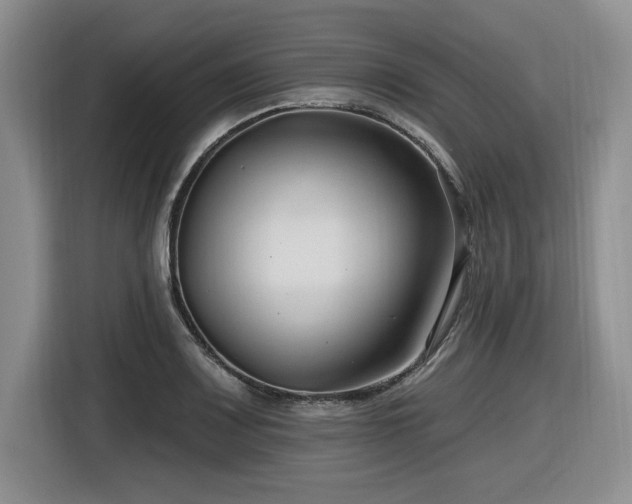 X0000116631083200912111212