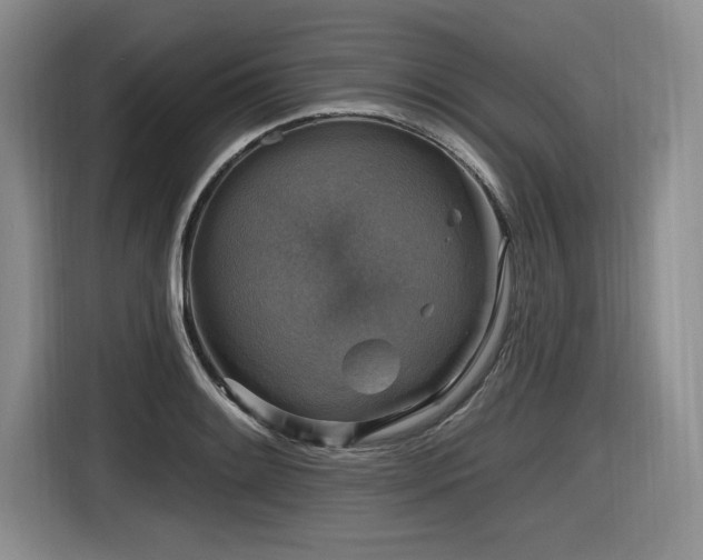 X0000116631084200912111212