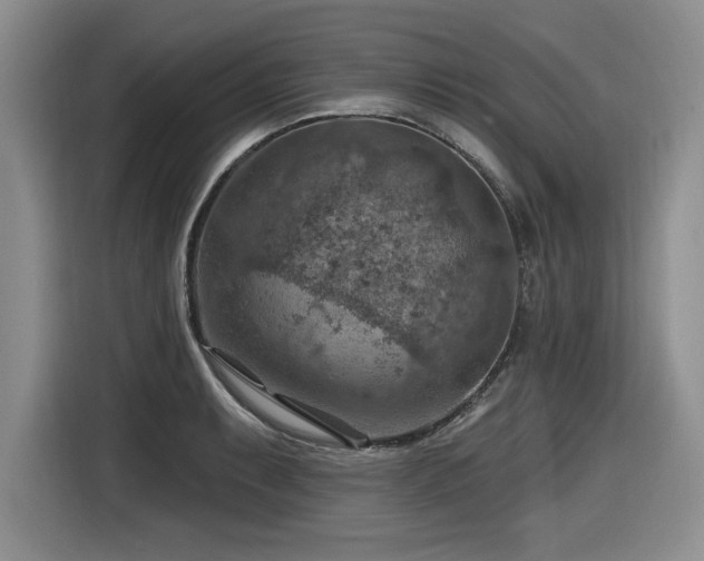 X0000116631087200912111212