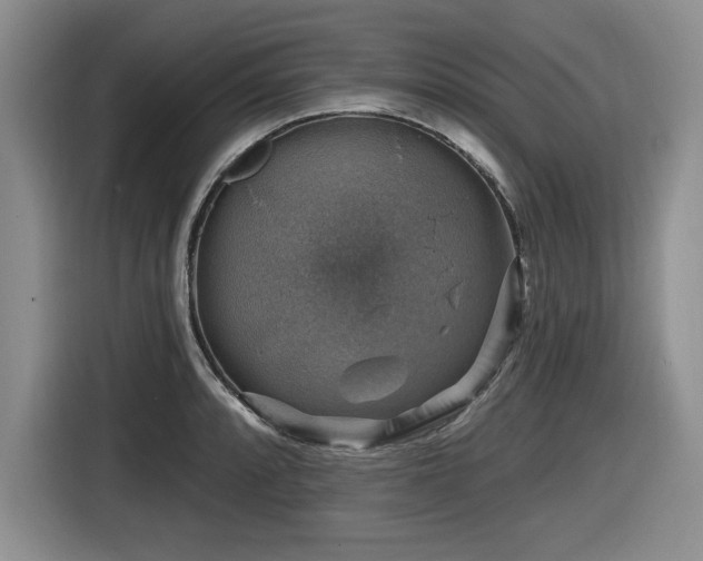 X0000116631088200912111212