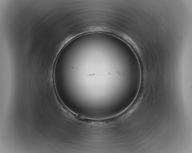 X0000116631089200912111212