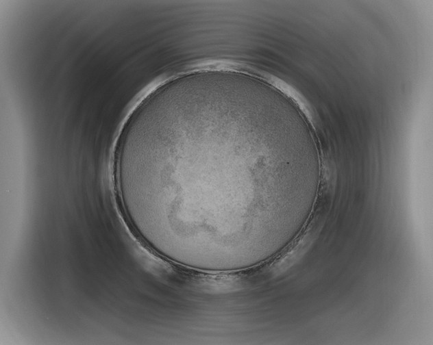 X0000116631090200912111212