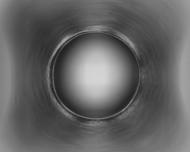 X0000116631091200912111212