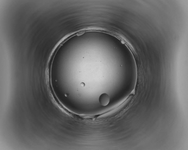 X0000116631092200912111212