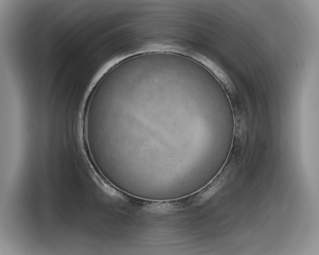 X0000116631094200912111212