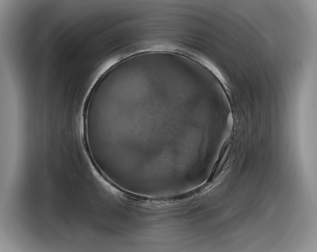 X0000116631095200912111212