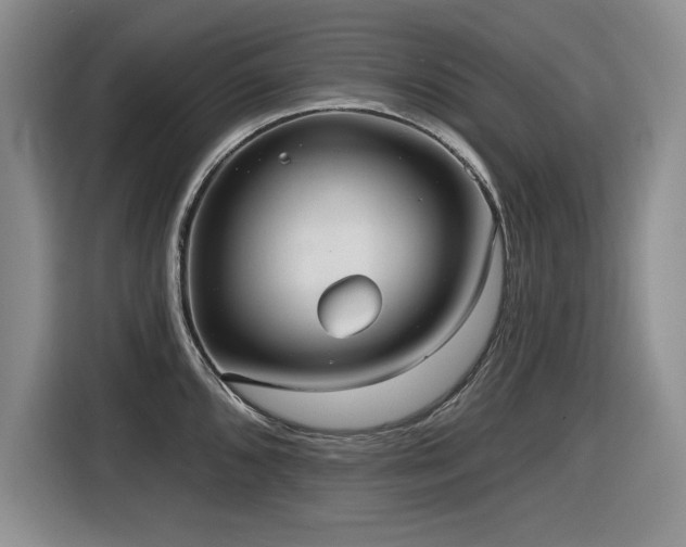 X0000116631096200912111212