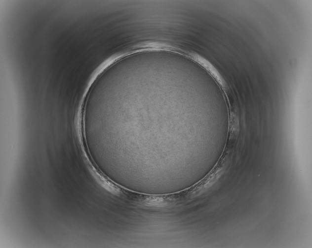 X0000116631098200912111212