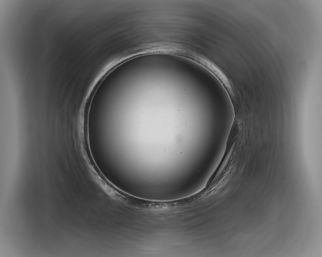 X0000116631099200912111212