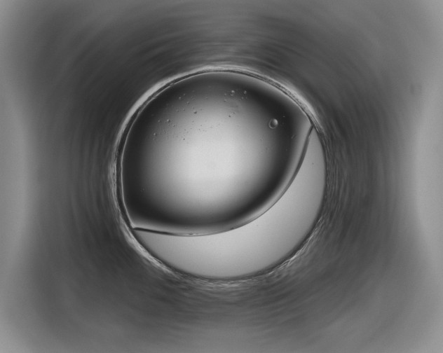 X0000116631100200912111212