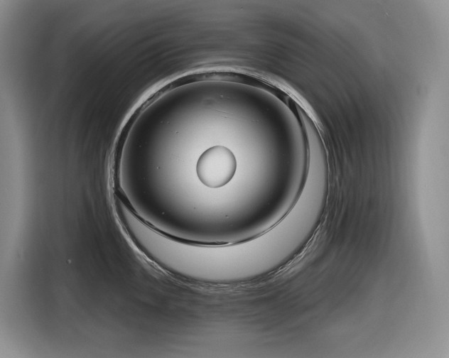 X0000116631101200912111212