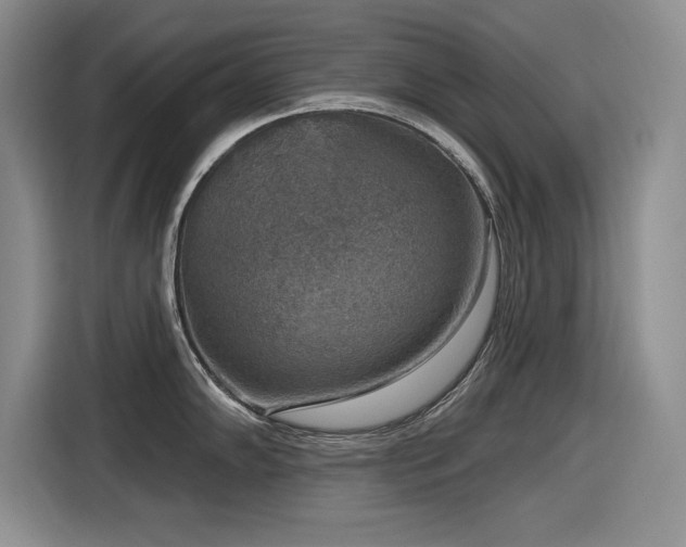 X0000116631102200912111212