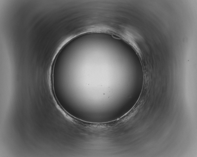 X0000116631103200912111212