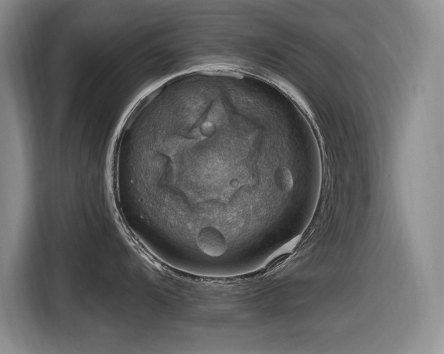 X0000116631104200912111212