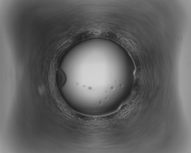 X0000116631105200912111211