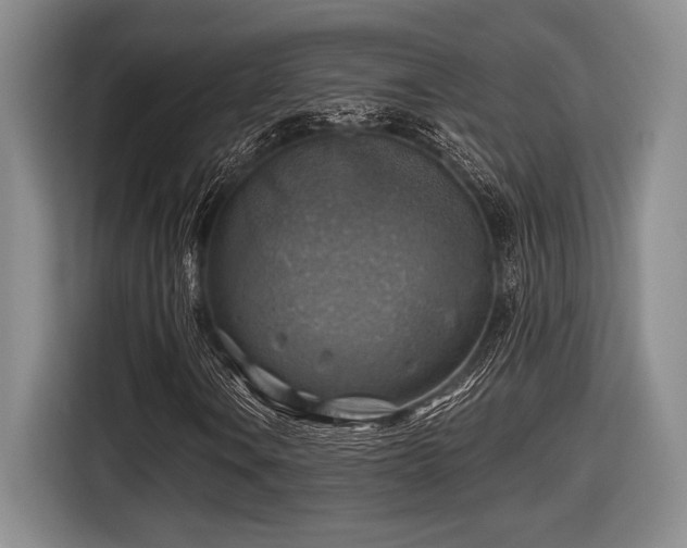 X0000116631106200912111211