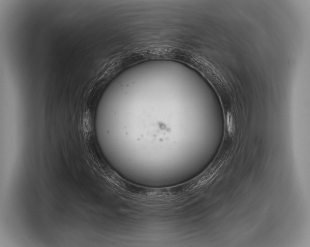 X0000116631107200912111211