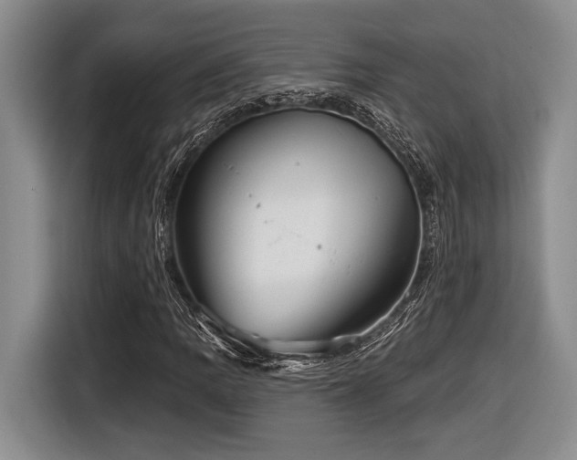 X0000116631109200912111211