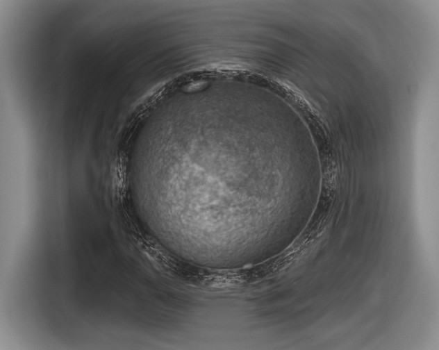 X0000116631110200912111211