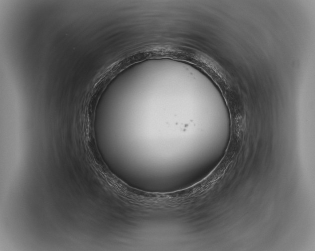 X0000116631111200912111211