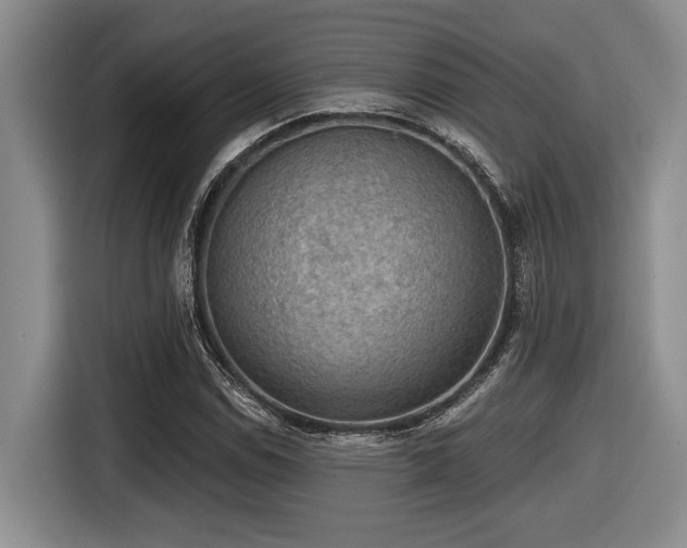 X0000116631114200912111211